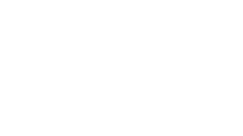 Fontanafredda: wine sector and automation of the sales force